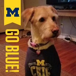 Meet your Posher, Dan